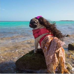 Meet your Posher, Crystal